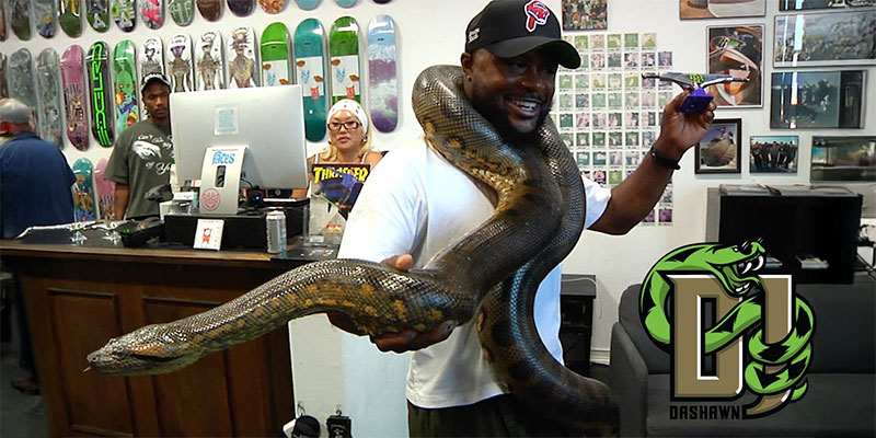 Dashawn Jordan Pro Truck Release with Faces Skateshop Thunder Trucks